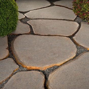 Stepping Stone basalt Bush...